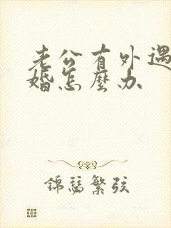 老公有外遇要离婚怎么办