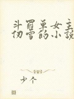 斗罗单女主是千仞雪的小说