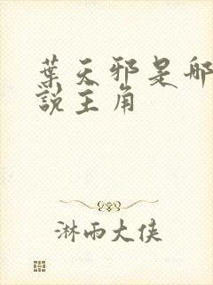 叶天邪是哪部小说主角