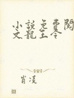 小说免费阅读全文龙王令