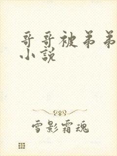 哥哥被弟弟调教小说