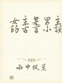 女主是男主外室的古言小说