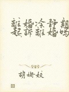 离婚冷静期可以起诉离婚吗?