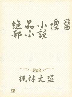 绝品小傻医的全部小说