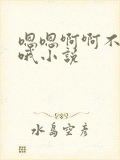 嗯嗯啊啊不要哦哦小说