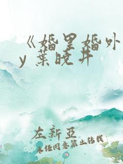 《婚里婚外》by 叶晓井