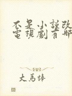 不是小说改编的电视剧有哪些