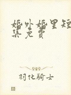 婚外婚里短剧全集免费