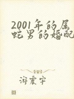 2001年的属蛇男的婚配属相