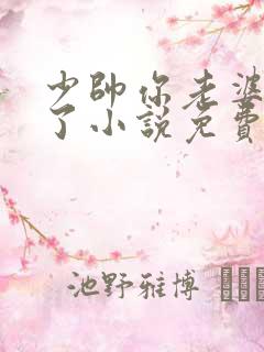 少帅你老婆又跑了小说免费下载