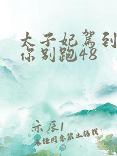 太子妃驾到总裁你别跑48