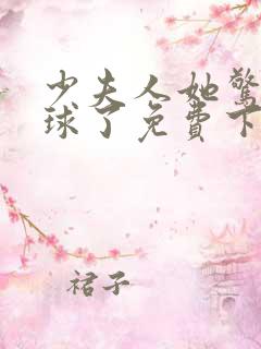 少夫人她惊艳全球了免费下载