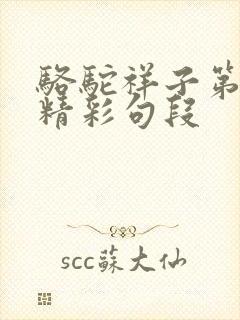 骆驼祥子第8章精彩句段