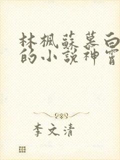 林枫苏慕白穿越的小说神霄剑宗