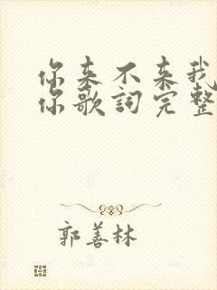 你来不来我都等你歌词完整版