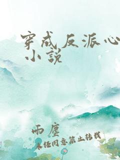 穿成反派心尖宠 小说