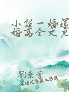 小说一婚还比一婚高全文免费阅读
