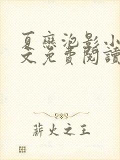 夏恋泡影小说全文免费阅读最新章节