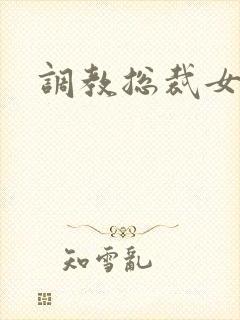 调教总裁女攻