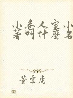 小巷人家小说原著叫什么名字