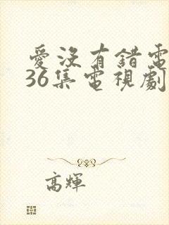 爱没有错电视剧36集电视剧全集