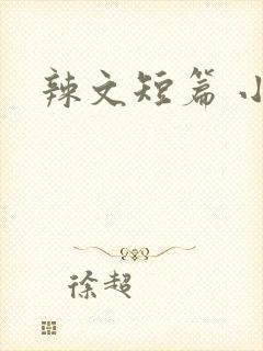 辣文短篇 小说