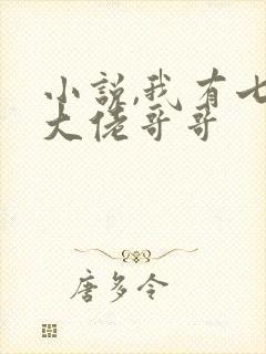 小说,我有七个大佬哥哥