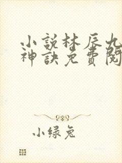 小说林辰九天斩神诀免费阅读