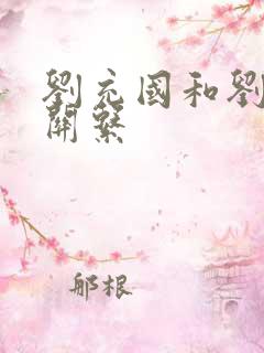 刘充国和刘贺的关系