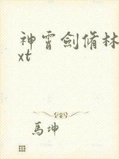 神霄剑修林枫txt