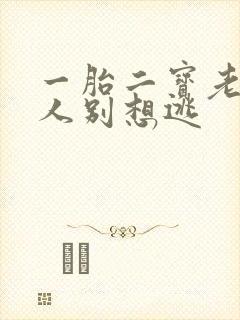 一胎二宝老婆大人别想逃