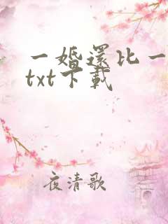 一婚还比一婚高txt下载