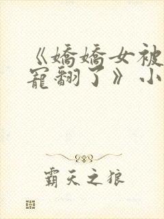 《娇娇女被皇叔宠翻了》小说