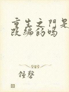 重生之门是小说改编的吗