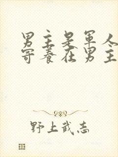 男主是军人女主寄养在男主家