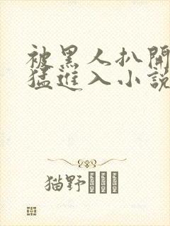 被黑人扒开双腿猛进入小说