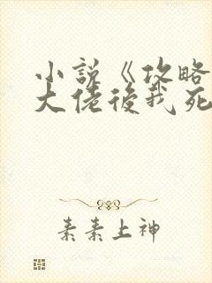 小说《攻略七个大佬后我死遁了》