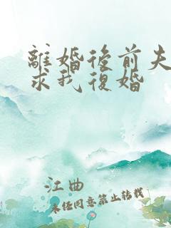 离婚后前夫哭着求我复婚