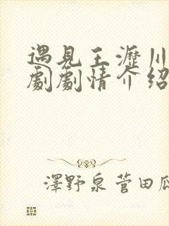 遇见王沥川电视剧剧情介绍