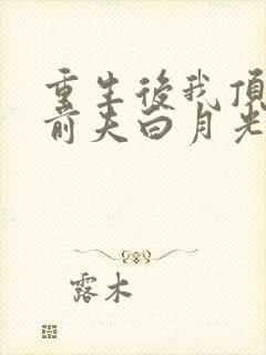 重生后我顶替了前夫白月光完本