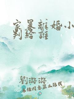 家暴离婚小孩会判给谁