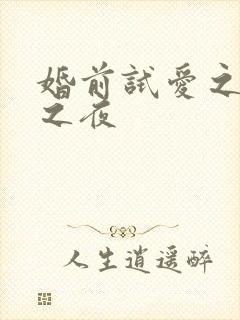 婚前试爱之新婚之夜