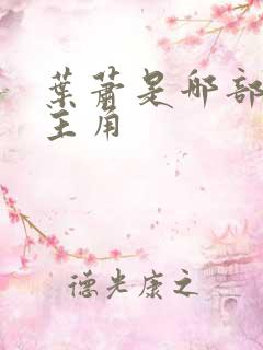 叶萧是哪部小说主角