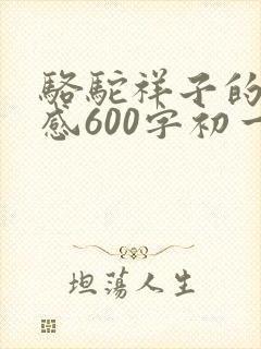 骆驼祥子的读后感600字初一