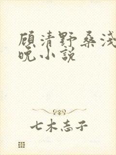 顾清野桑浅江映晚小说