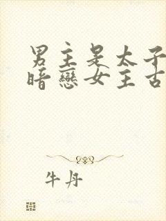 男主是太子从小暗恋女主古言