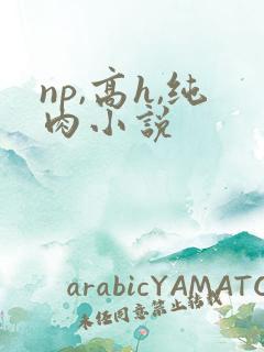 np,高h,纯肉小说