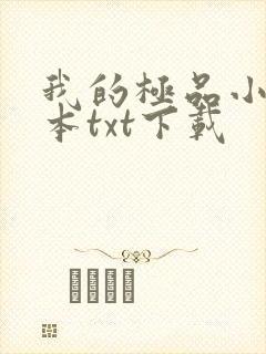 我的极品小姨全本txt下载