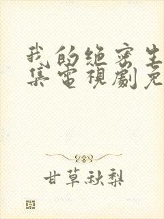 我的绝密生涯全集电视剧免费观看