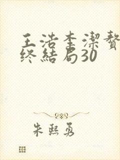 王浩李洁赘婿最终结局30